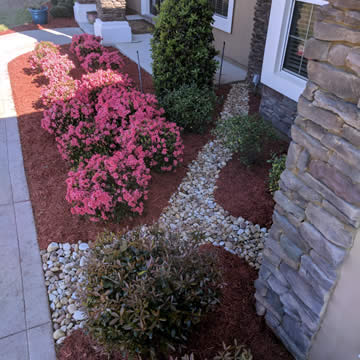 Jacksonville Landscaper / Landscaping Services