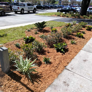 St Johns Landscape Installation