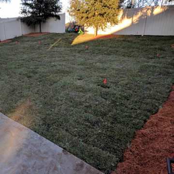 Jacksonville New Sod Installation