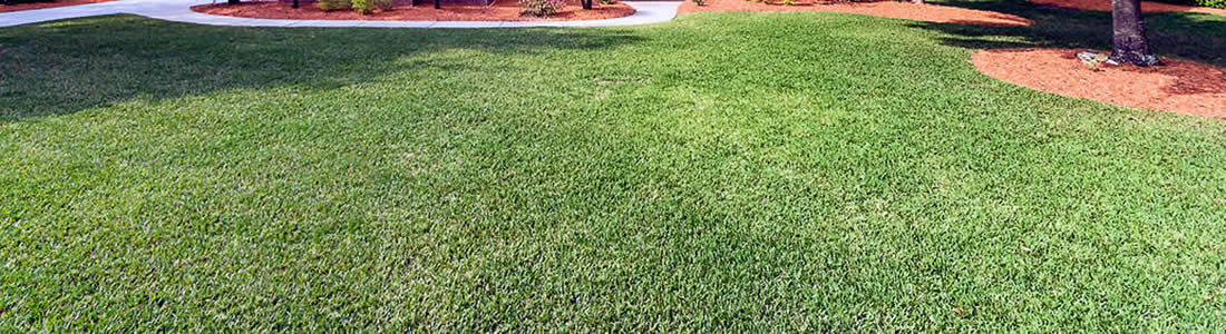 lawn-mowing-service-middleburg-florida-yard-care-lawn-care-company-near-me